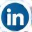 AnkaTech LinkedIn logo